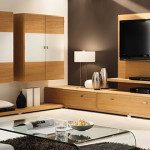 Website-Merz-2012